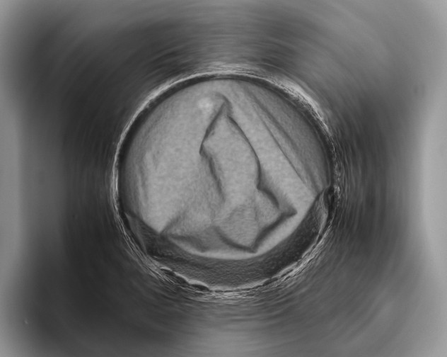 X0000095941280200802081230