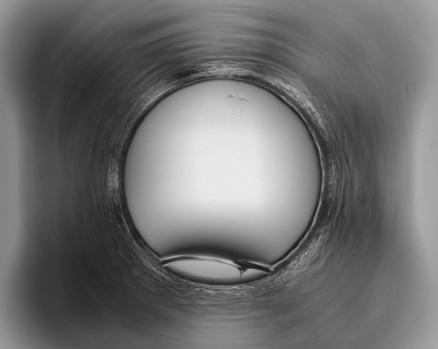 X0000095941281200802081230