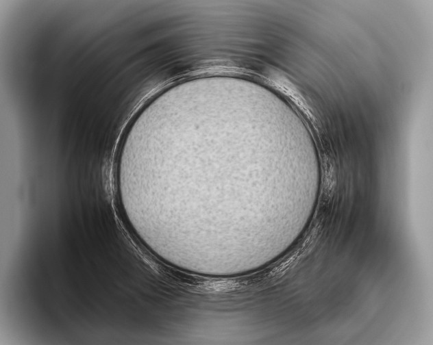 X0000095941282200802081230