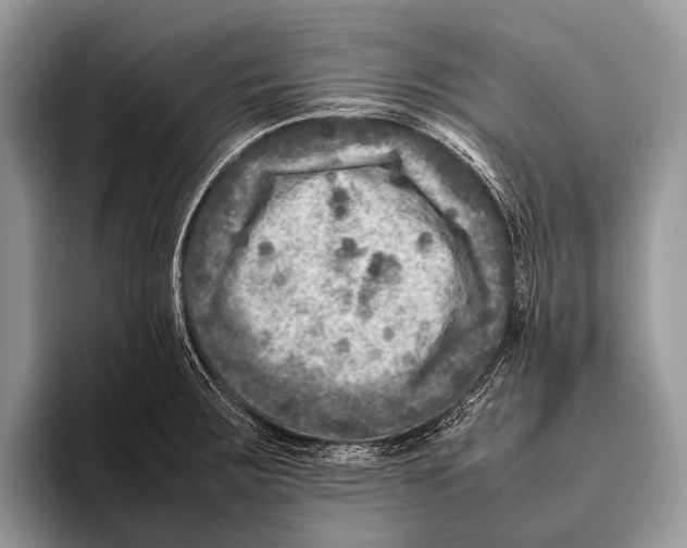 X0000095941283200802081229