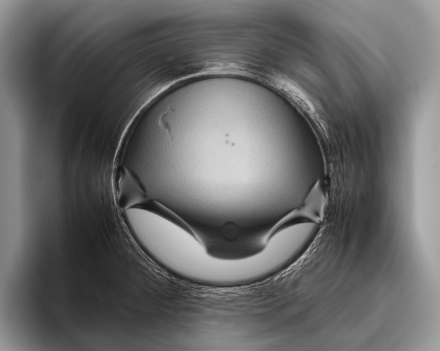 X0000095941284200802081229