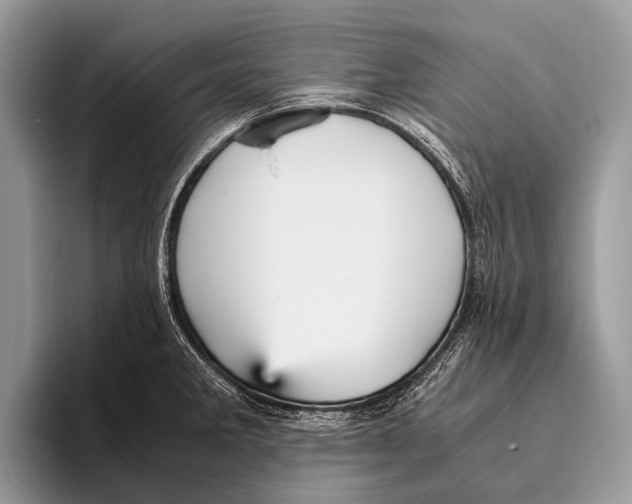 X0000095941285200802081229