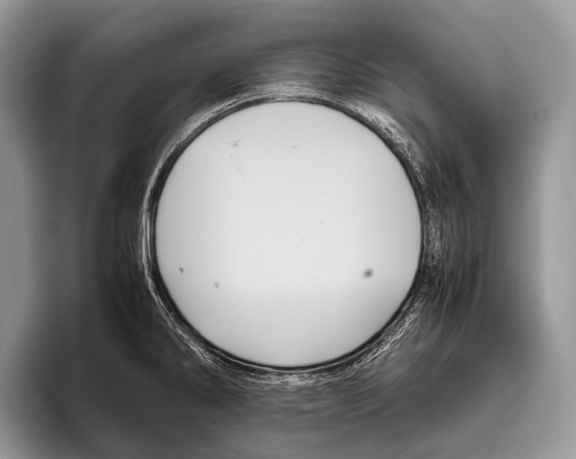 X0000095941286200802081229