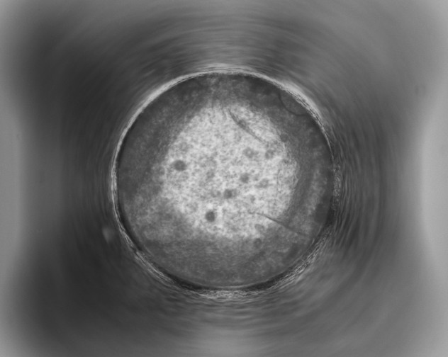 X0000095941287200802081229