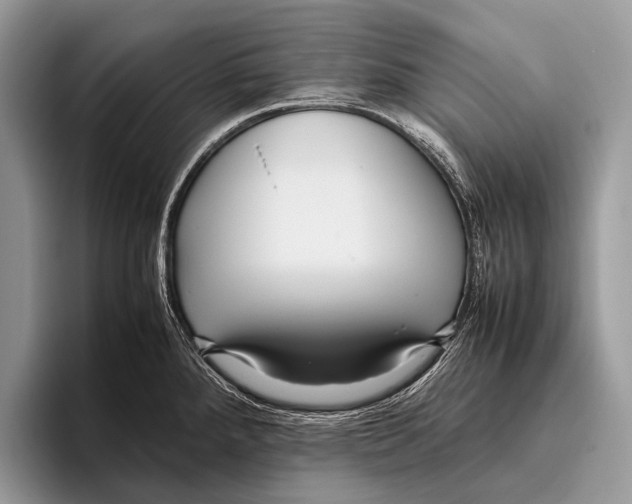 X0000095941288200802081229