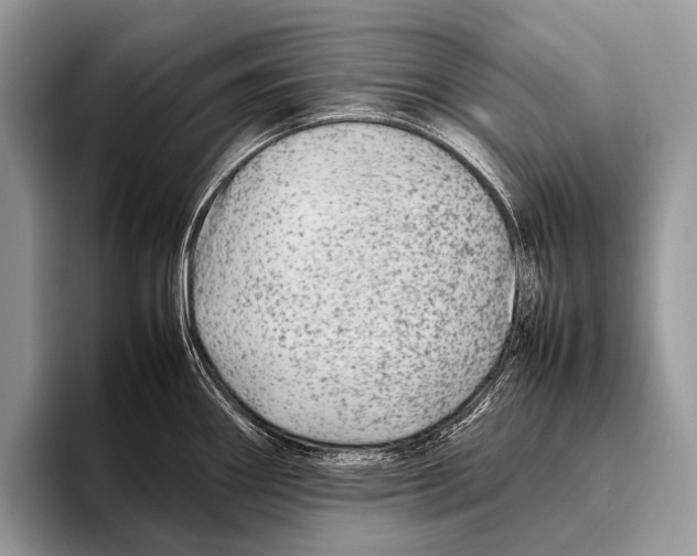 X0000095941290200802081229