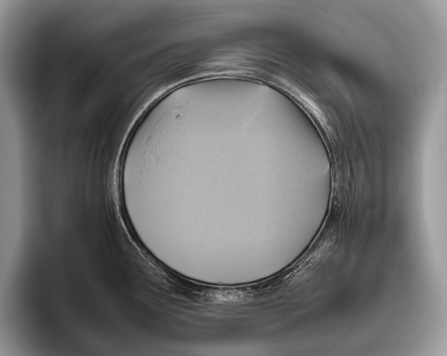 X0000095941291200802081229