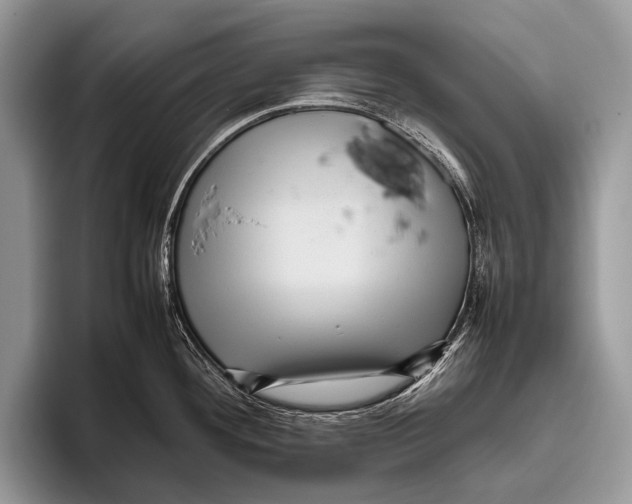 X0000095941292200802081229