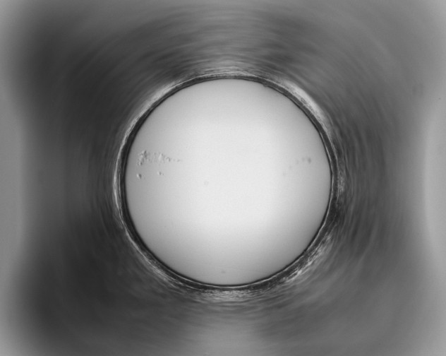 X0000095941293200802081229