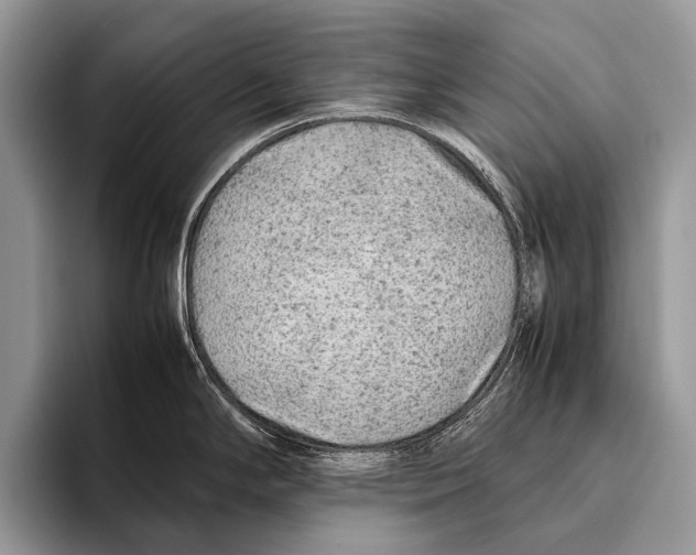 X0000095941294200802081229