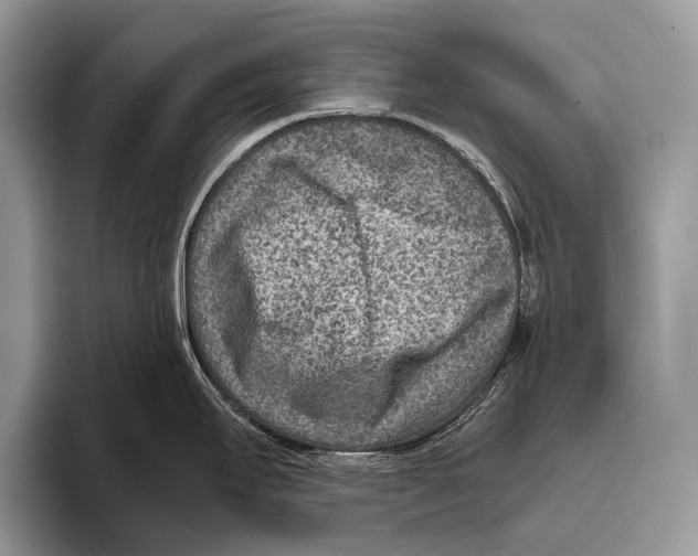 X0000095941295200802081229