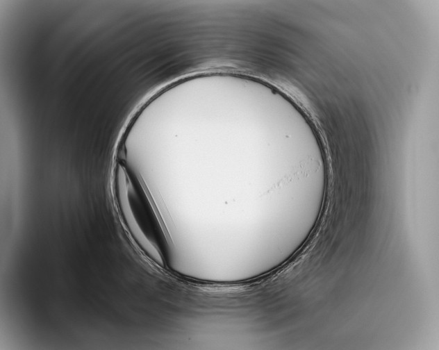 X0000095941296200802081229