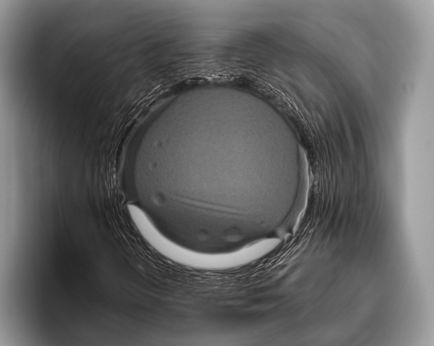 X0000095941298200802081229