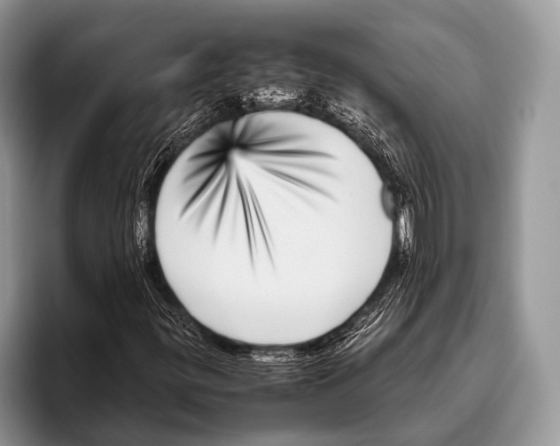 X0000095941299200802081229