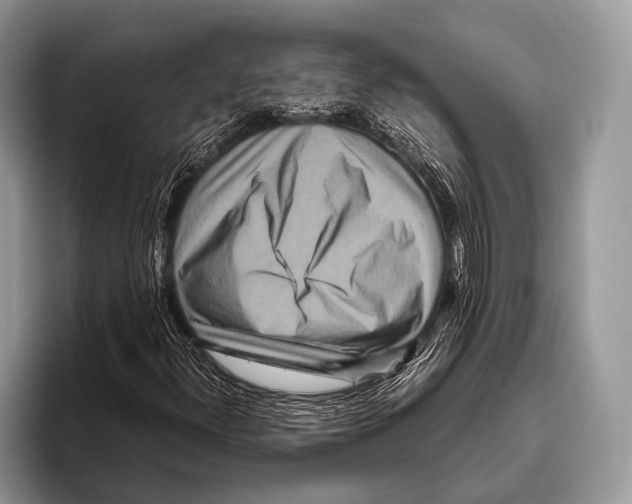 X0000095941300200802081229