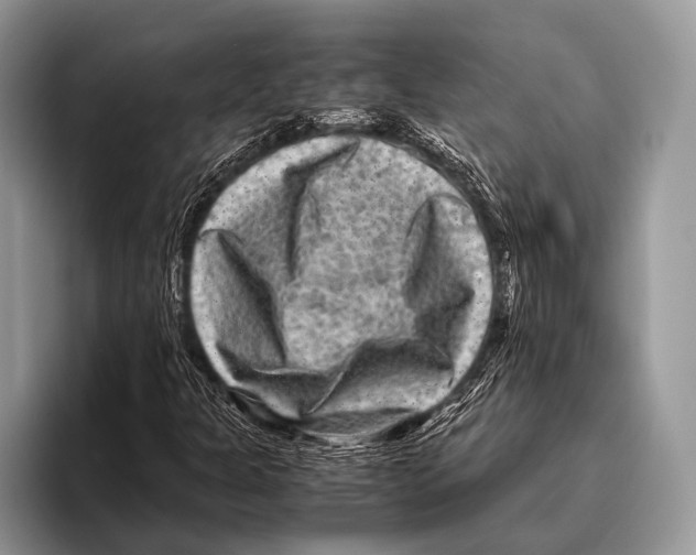 X0000095941301200802081229