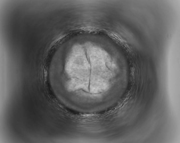 X0000095941302200802081229