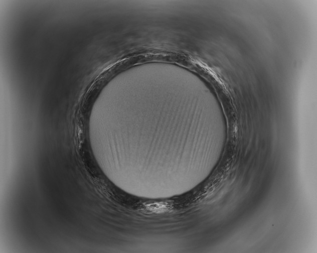 X0000095941303200802081229