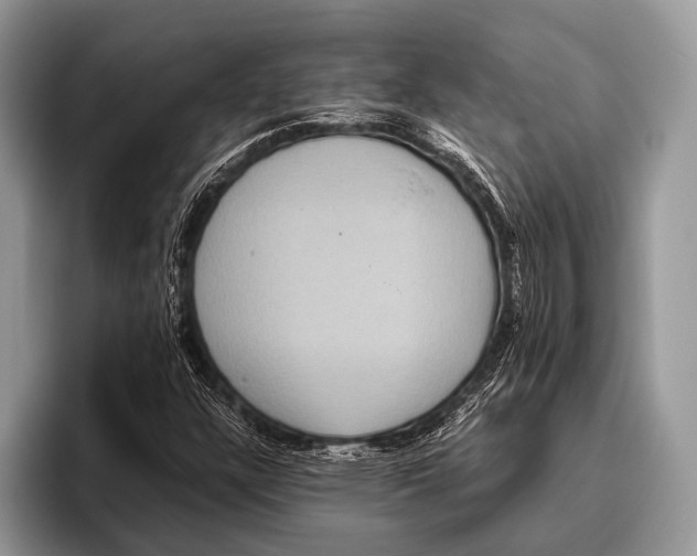 X0000095941304200802081229