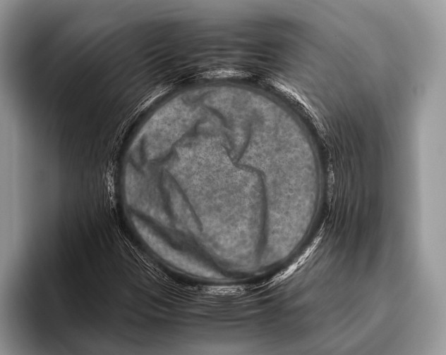 X0000095941305200802081229