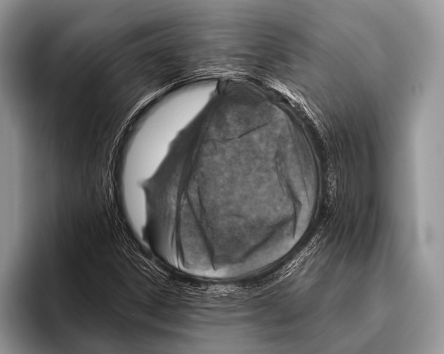 X0000095941306200802081229