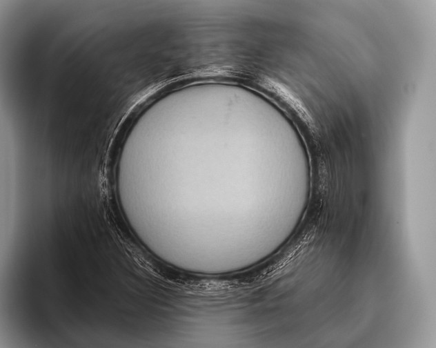 X0000095941308200802081229