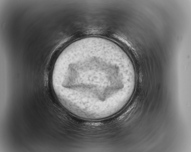 X0000095941309200802081229