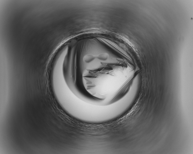 X0000095941310200802081229