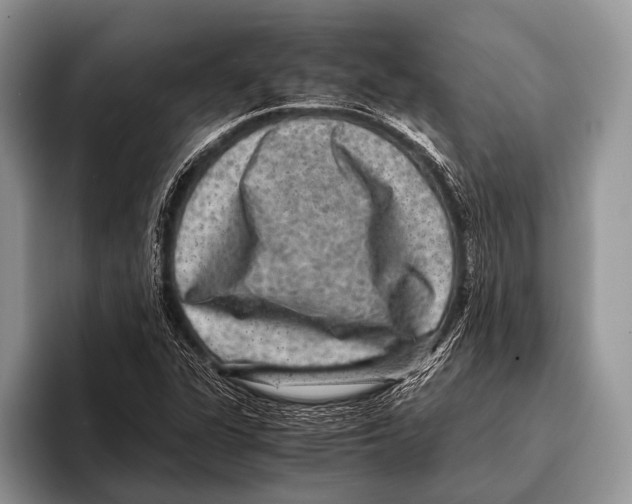 X0000095941311200802081229