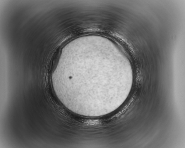 X0000095941313200802081229