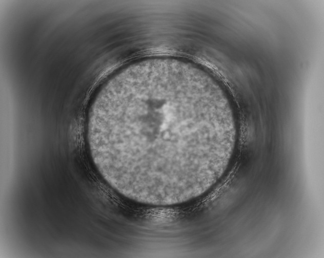 X0000095941314200802081229