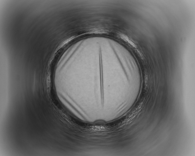 X0000095941315200802081229