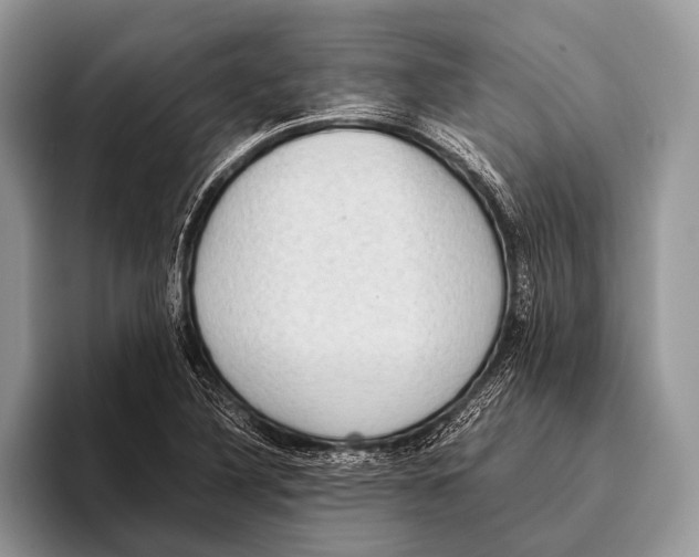 X0000095941316200802081229