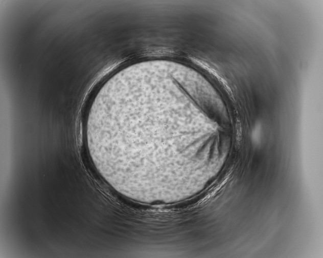 X0000095941317200802081229