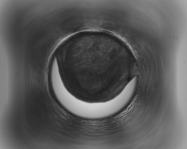 X0000095941319200802081229