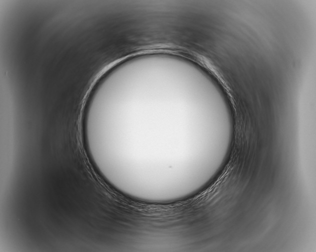 X0000095941320200802081229