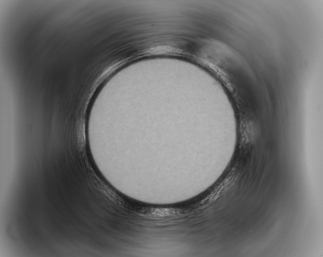 X0000095941322200802081229