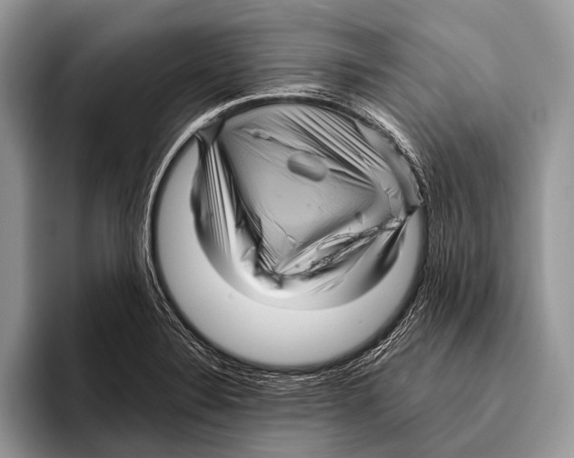 X0000095941324200802081229