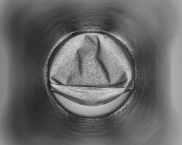 X0000095941325200802081229