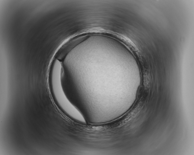 X0000095941326200802081229