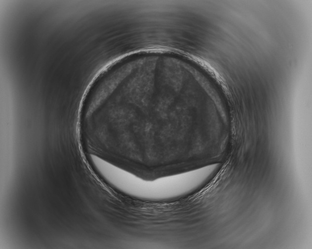 X0000095941327200802081229