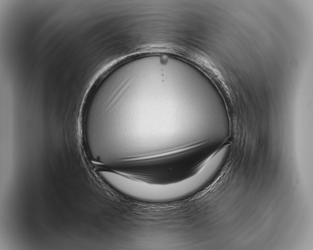 X0000095941328200802081229