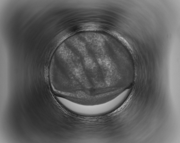 X0000095941329200802081229