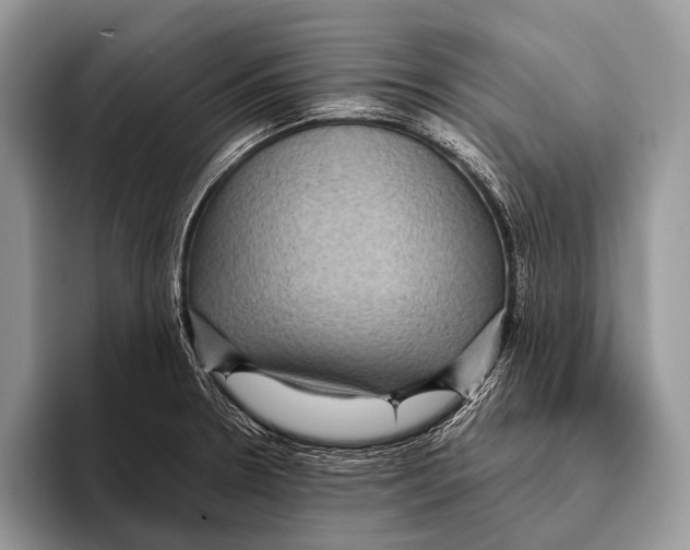 X0000095941330200802081229