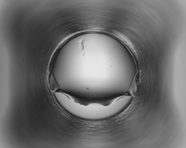 X0000095941332200802081229