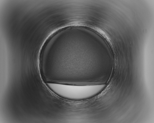 X0000095941334200802081229