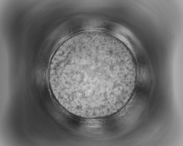 X0000095941338200802081229