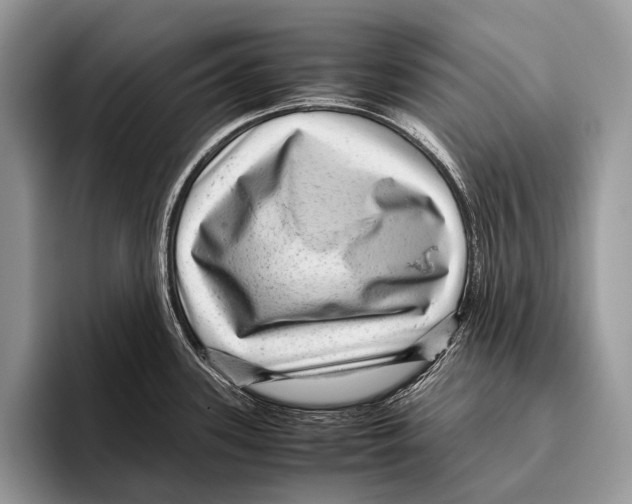 X0000095941339200802081229