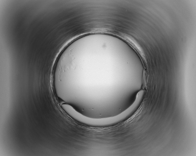 X0000095941340200802081229