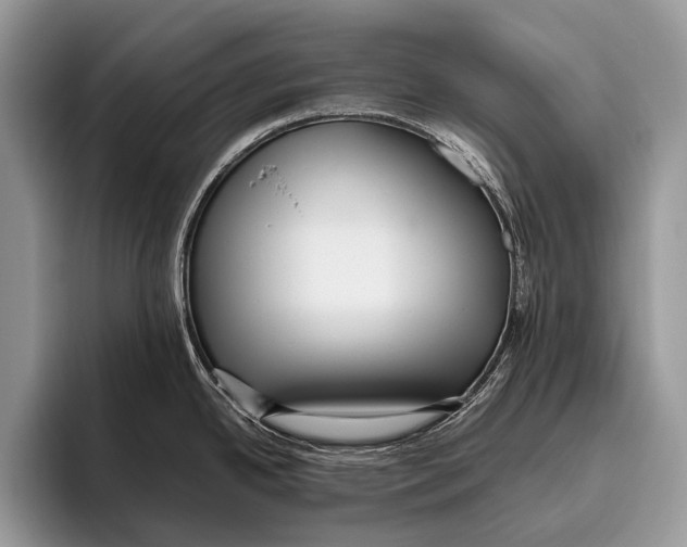 X0000095941342200802081229